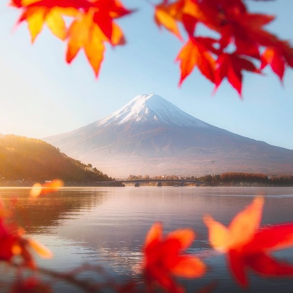 INTO JAPAN|JAPAN TRAP BEAT