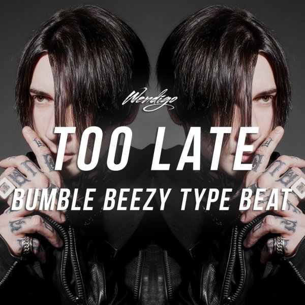 Too Late. (Bumble Beezy / Drake / Future Type)